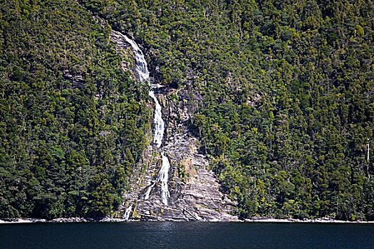 瀑布,怀疑,声音,峡湾国家公园,南岛,新西兰