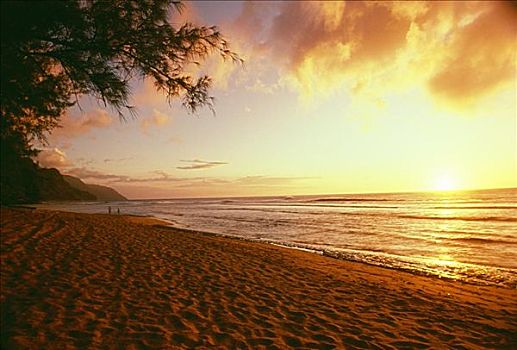 夏威夷,考艾岛,巴利,海岸线,荒芜,海滩,日落