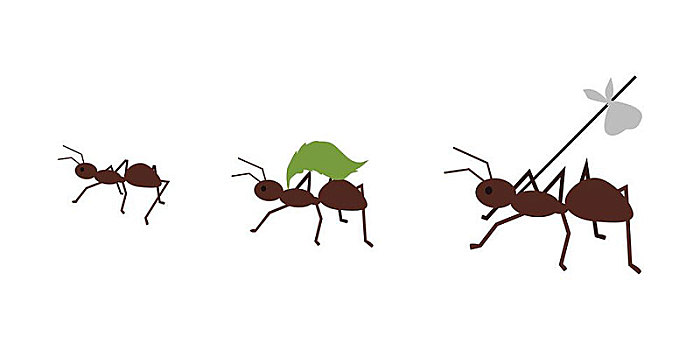 蚂蚁,行李,褐色,树上,枝条,绿叶,象征,拿着,昆虫,白蚁,隔绝,物体,设计,白色背景,背景,矢量,插画