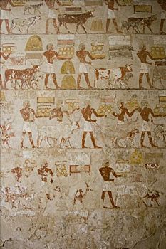 象形文字,墓地,陵墓,贵族,约旦河西岸,路克索神庙,尼罗河流域,埃及,非洲
