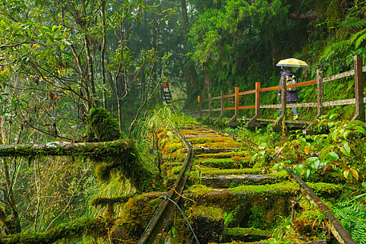 台湾宜兰县太平山见晴古道,是著名的旅游胜地