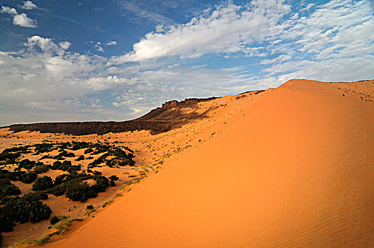 非洲,沙漠