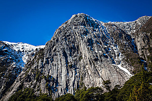 特写,山,纳韦尔瓦皮,国家公园,阿根廷