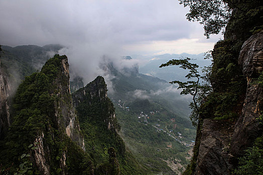 恩施,黄鹤峰,风景,景点,旅游,高山,山区,神秘,树木,植被,石头,鄂西,奇石,峡谷,壮观,云海,仙境