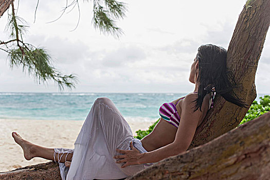 女人,倚靠,海滩,树,向外看,海上,巴巴多斯,加勒比