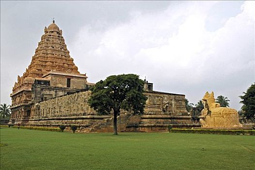 塔,公牛,庙宇,贡伯戈纳姆,泰米尔纳德邦,印度