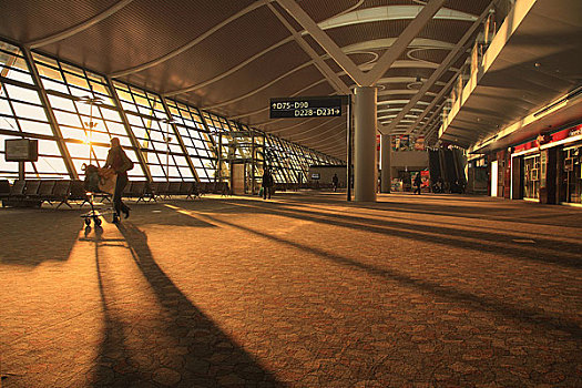 浦东国际机场,航站楼