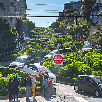 旧金山,九曲花街,lombard,street