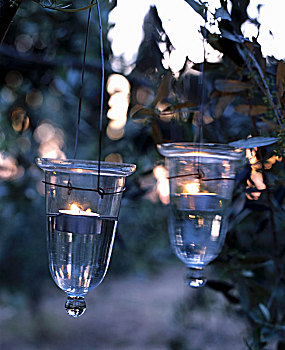 玻璃,茶烛,固定器具,树上