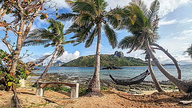 吊床,两个,棕榈树,海洋,风景,岛屿,斐济
