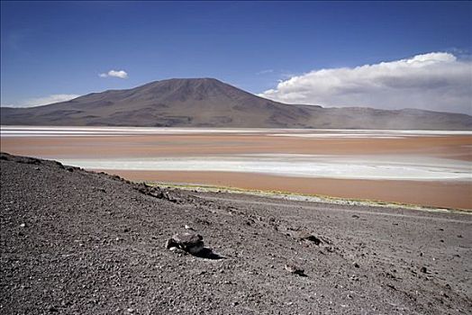 泻湖,乌尤尼,高地,玻利维亚
