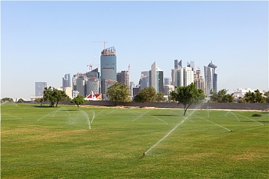 风景,多哈,绿色,草坪,后面,城市,卡塔尔,中东