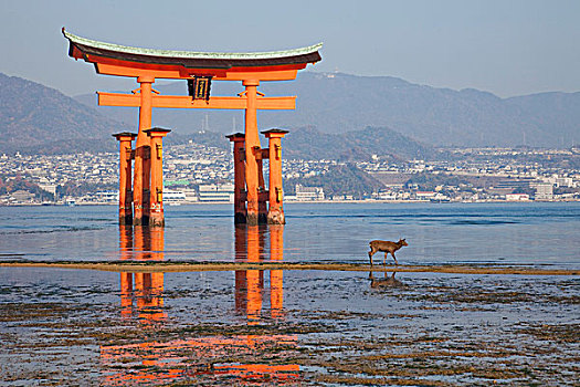 日本,宫岛,严岛神社,鸟居