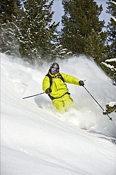 厚雪,滑雪者,自由滑行者,树林,阿尔卑斯山,提洛尔,奥地利,欧洲