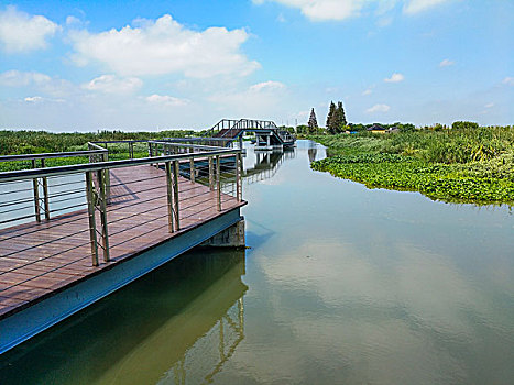 青西郊野公园