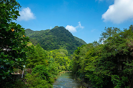 山谷里流过清净凉爽的小溪流