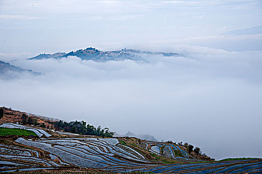 云南元江那诺乡观音山梯田