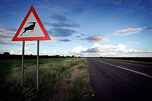 路标,柏油路,道路,纳米比亚,南非