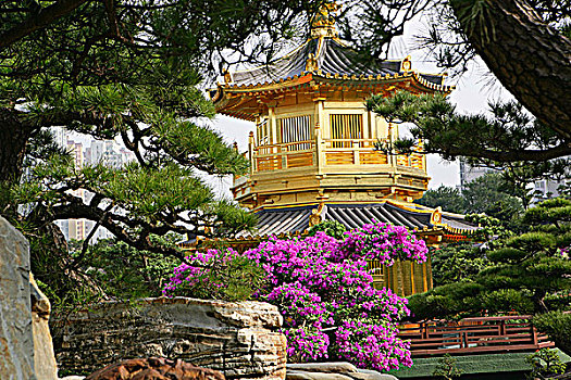 女修道院,中式花园,山,香港