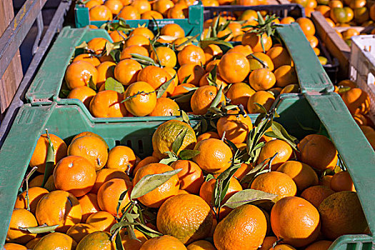 橙色,柑橘,水果,丰收,篮子,盒子,排列
