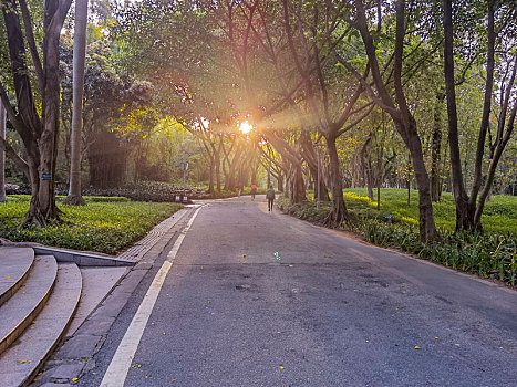 广州天河公园跑道绿道