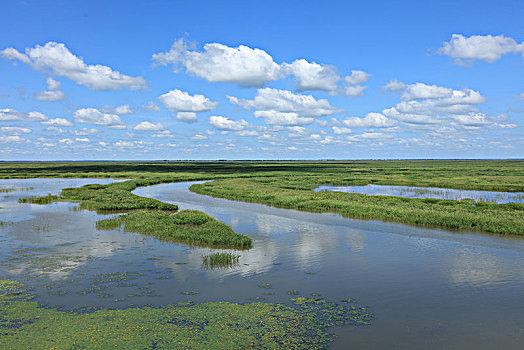雁窝岛湿地