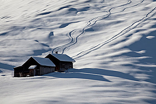 冬天,风景,清新,雪,山丘,阿彭策尔,瑞士,欧洲