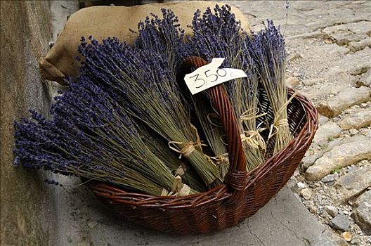 薰衣草,出售,城镇,普罗旺斯,法国