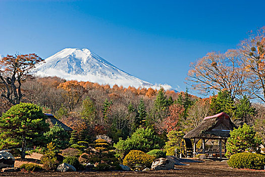 富士山,日式庭园,日本