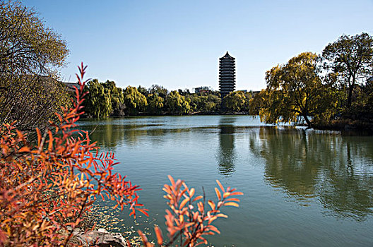 北京大学