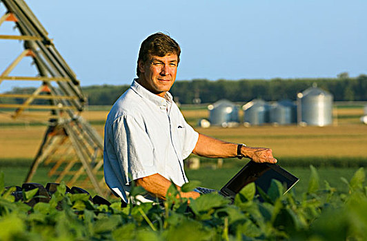 农业,农民,作物,数据,笔记本电脑,站立,生长,大豆,地点,中心,灌溉,玉米,谷物,背景,靠近,明尼苏达,美国