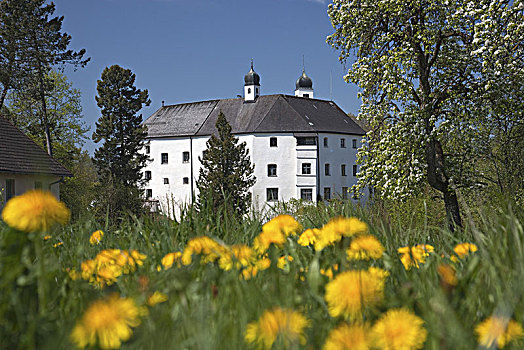 城堡,齐姆高,上巴伐利亚,巴伐利亚,德国南部,德国