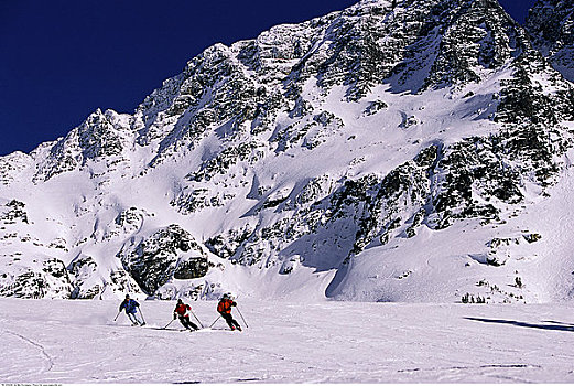滑雪者,黑梳山,不列颠哥伦比亚省,加拿大