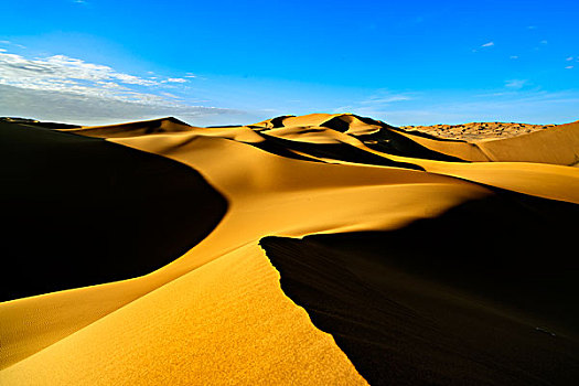 沙丘,沙漠,波纹,干燥,荒凉,金黄