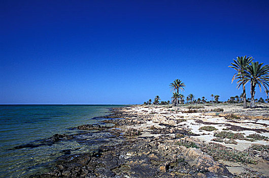 非洲,突尼斯,岛屿,一个,沙滩,岩石