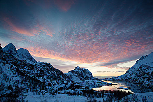 湾,冬季风景,夜空,罗弗敦群岛,挪威,欧洲