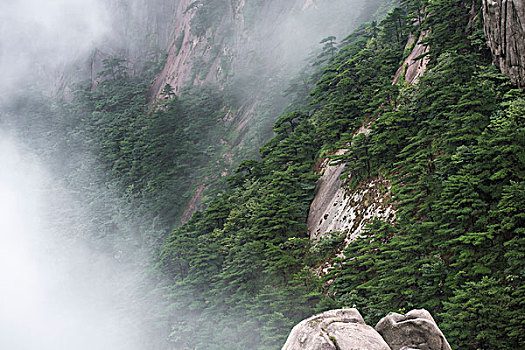 黄山云海雾松怪石