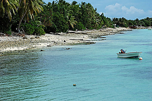 tuvalu,funafuti,boat,anchored,on,turquoise-blue,water,of,the,sea,with,a,roofed,shelter,and,palm,trees,along,coastline