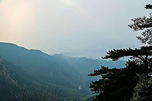 庐山龙首崖风光