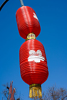 玉渊潭公园内的红灯笼