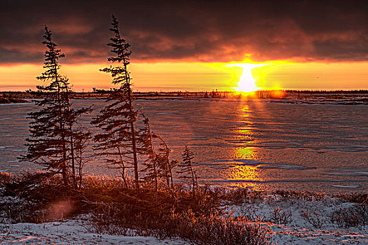 日落,上方,冰冻,湖,苔原,哈得逊湾,丘吉尔市,曼尼托巴,加拿大