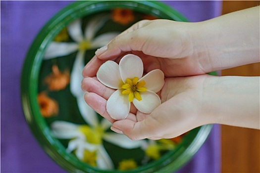 女性,手,花,水中