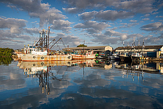 渔船,停泊,西恩富戈斯,港口