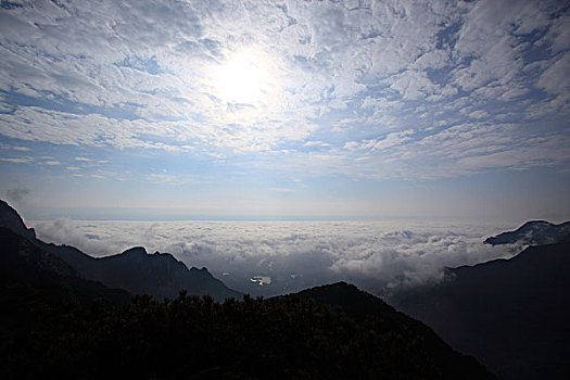 山,云海,雾