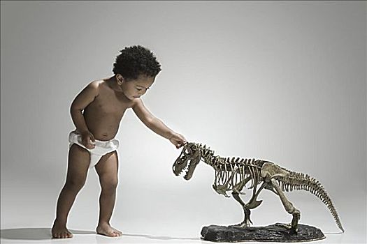 幼儿,玩,恐龙,骨骼