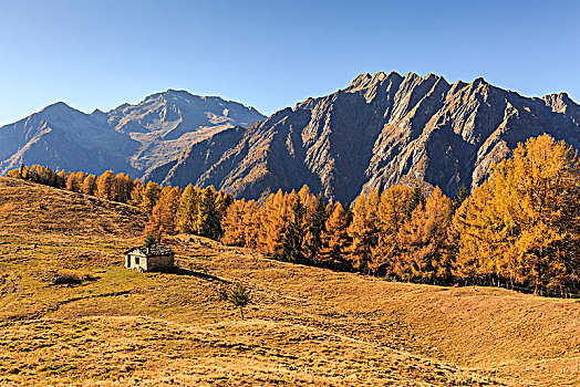 阿尔卑斯山,秋天,省,伦巴第,意大利