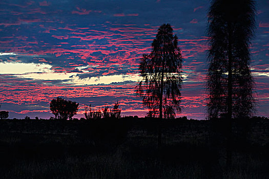 日落,靠近,乌卢鲁巨石,艾尔斯岩,北领地州,澳大利亚