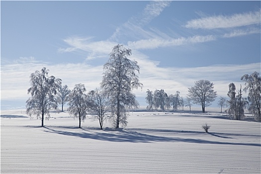 雪