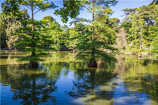 丽池公园,公园,马德里,西班牙