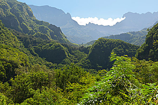 风景,道路,谷地,火山口,团聚,印度洋